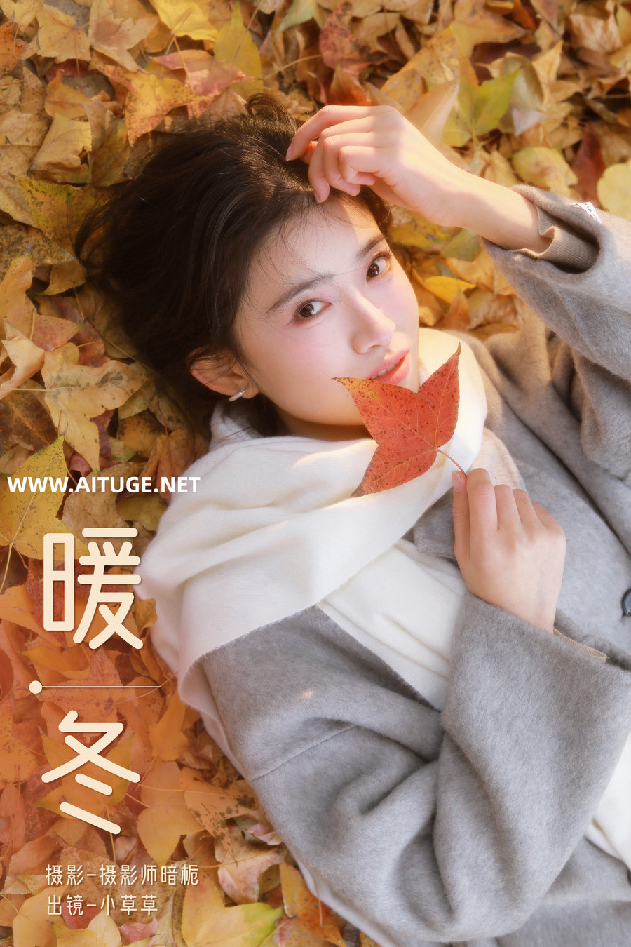 [YITUYU]艺图语 2025.02.27 暖冬 小草草呀 [25P-331MB]
