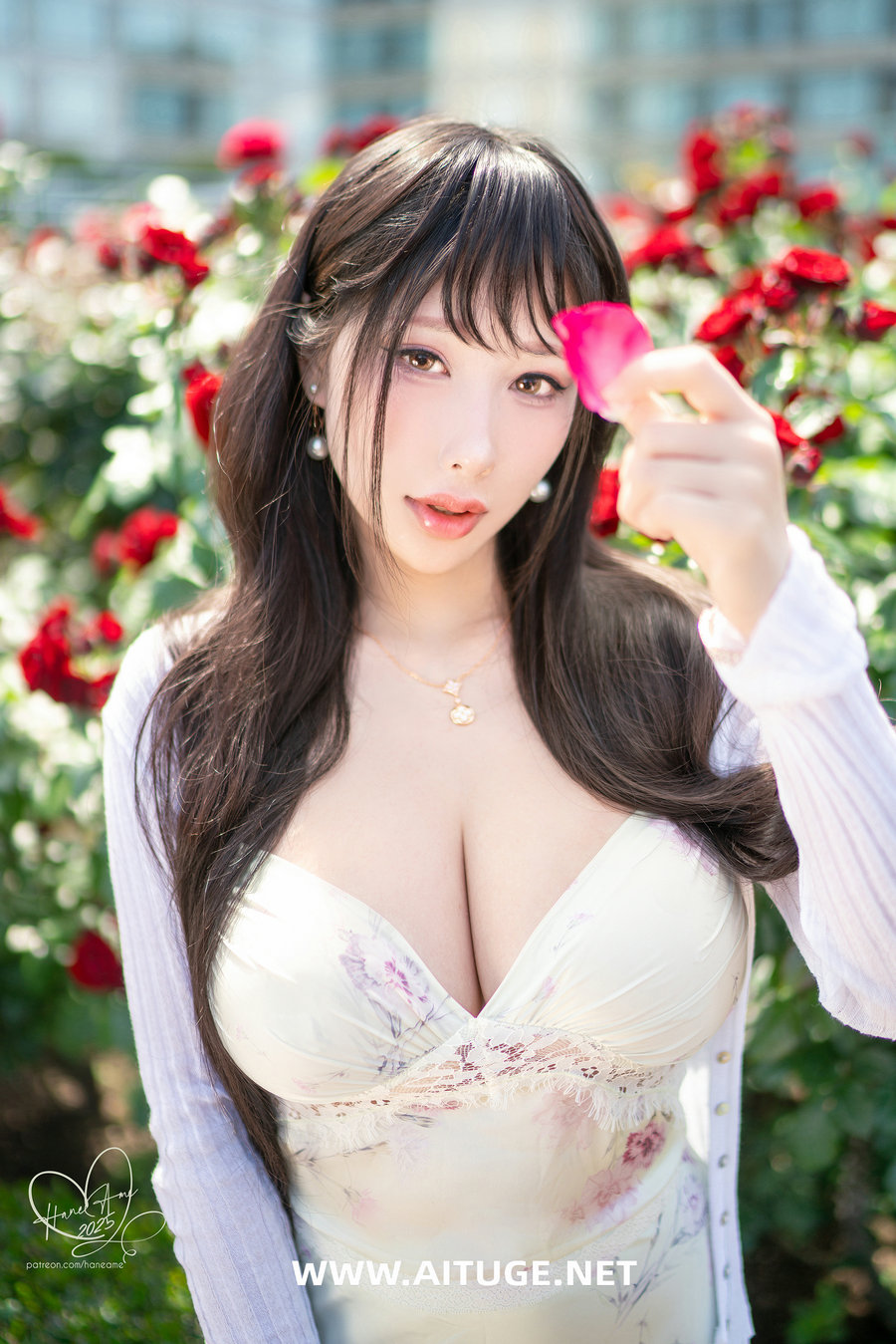 Hane Ame 雨波写真 - 玫瑰刚好绽放 [30P4V-230MB]