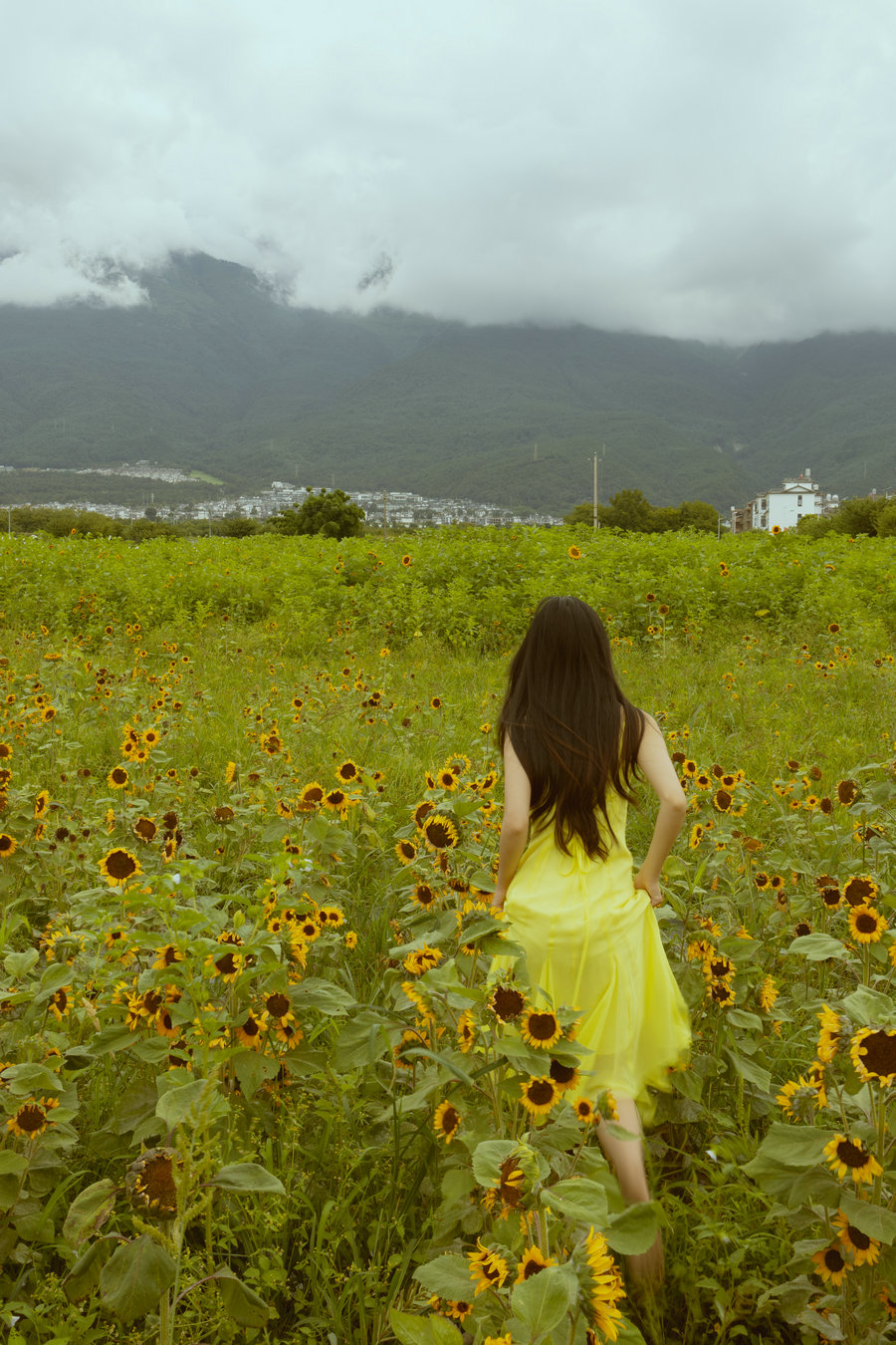 [YITUYU]艺图语 2025.08.14 我与大理 花海 兔子 [14P-192MB]