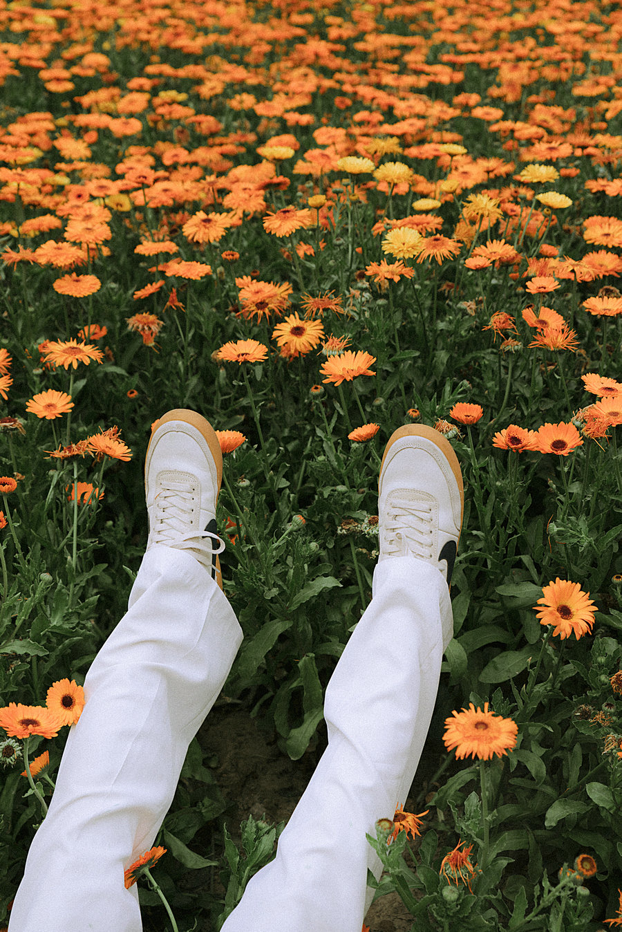 [YITUYU]艺图语 2023.06.06 花海少年 阿学 [20P-122MB]