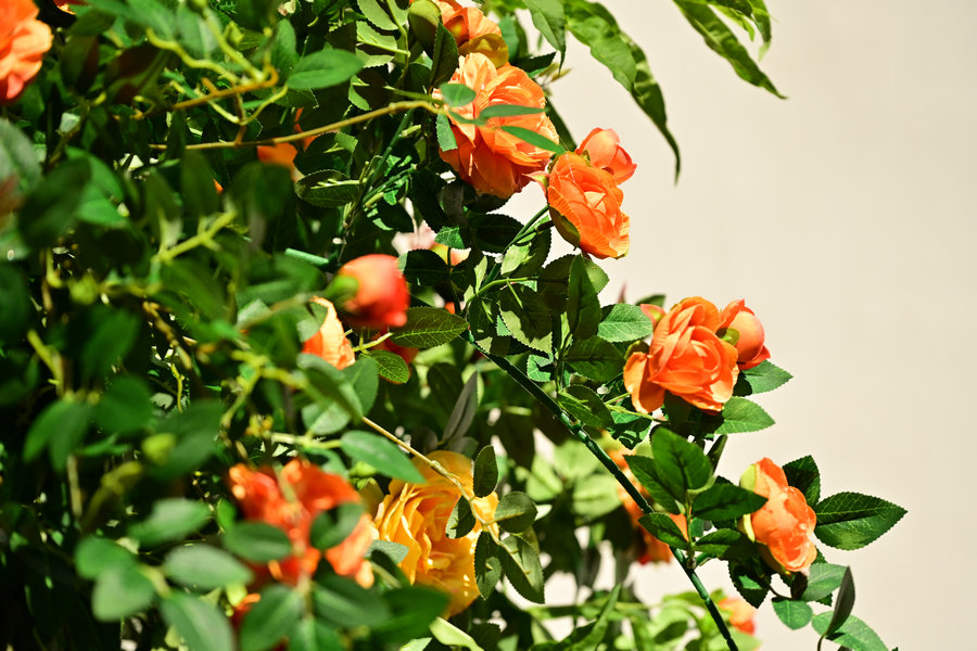 [YITUYU]艺图语 2025.10.17 绿意重渡沟 [10P-237MB]