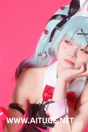 动漫博主G44不会受伤 - 初音未来兔子洞 [46P-550MB]