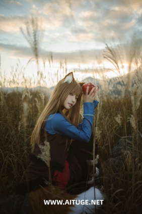 Ely_eee(ElyEE子) - Soft Glow 狼與暖陽 [52P1V-190MB]