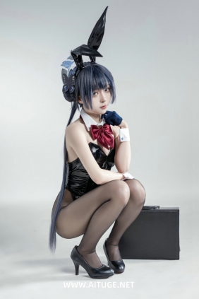 矢量鱼 - 蔚蓝档案 妃咲兔女郎 [28P-294MB]