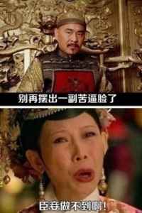臣妾做不到