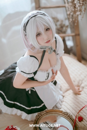 是一只熊仔吗 - 碧蓝航线 天狼星 [26P-327MB]