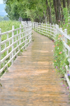 [YITUYU]艺图语 2025.08.19 拉市海湿地公园 [13P-225MB]